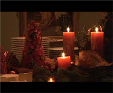 holidayscreen Video Galleries